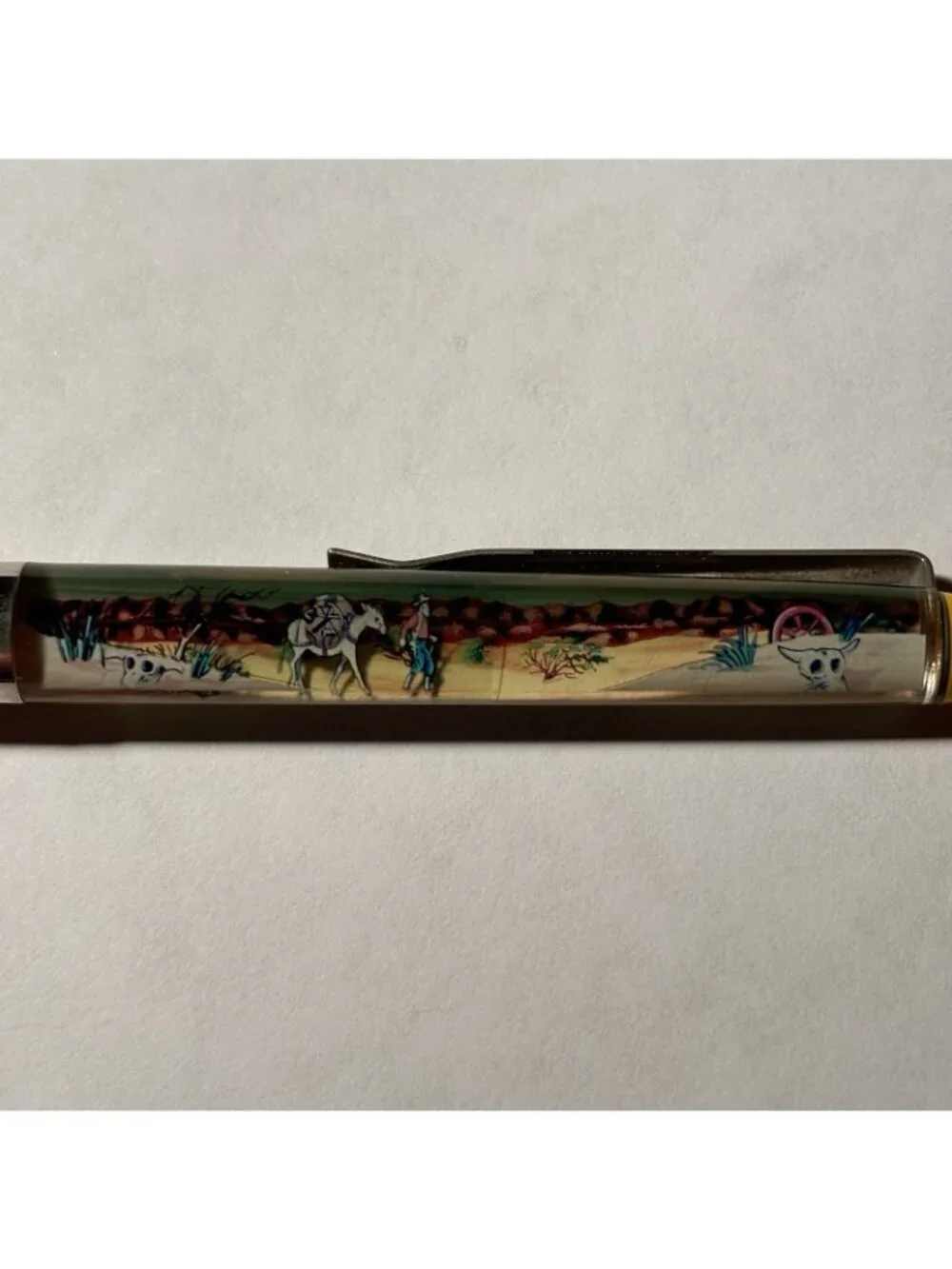 Death Valley California Floaty Pen Frontier Man Pack Horse Mule Moves in Desert